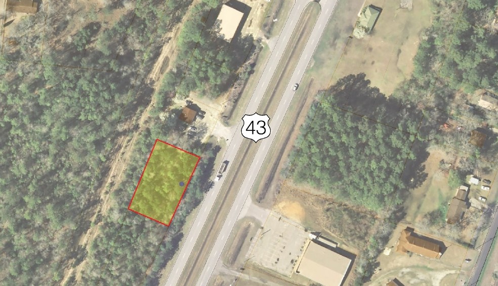 U.S. Highway 43, Mount Vernon, AL for sale - Building Photo - Image 1 of 5