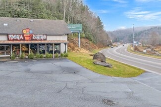 Plus de détails pour 3894 US Hwy 321, Blowing Rock, NC - Commerce de détail à vendre