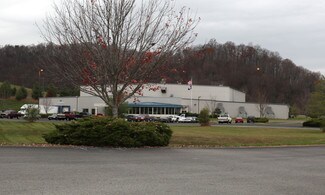 Plus de détails pour 17921 Main St, Buchanan, VA - Industriel à vendre