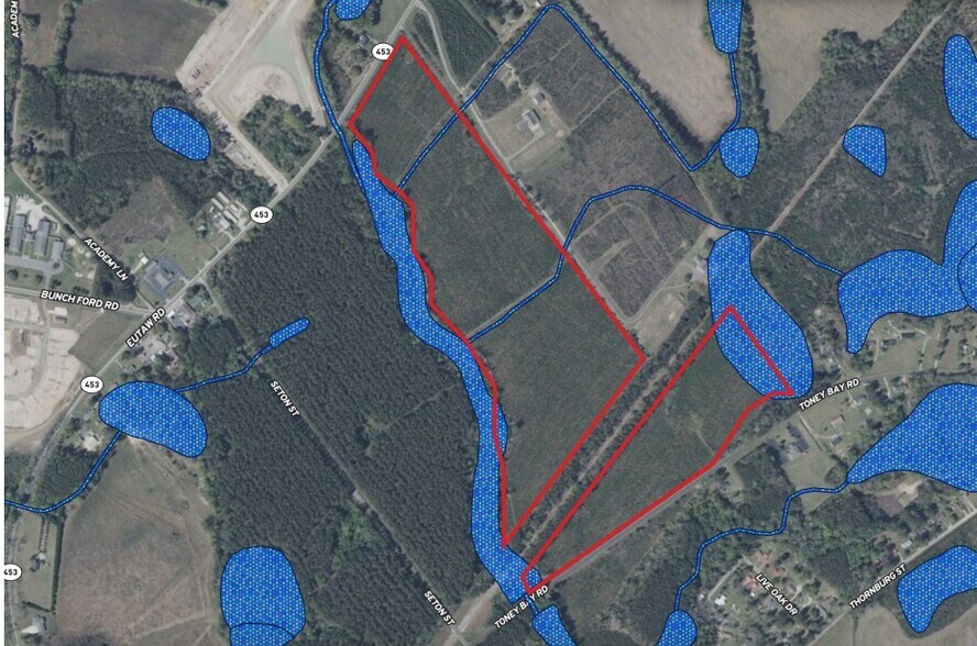 Eutaw, Holly Hill, SC à vendre - Aérien - Image 2 de 2