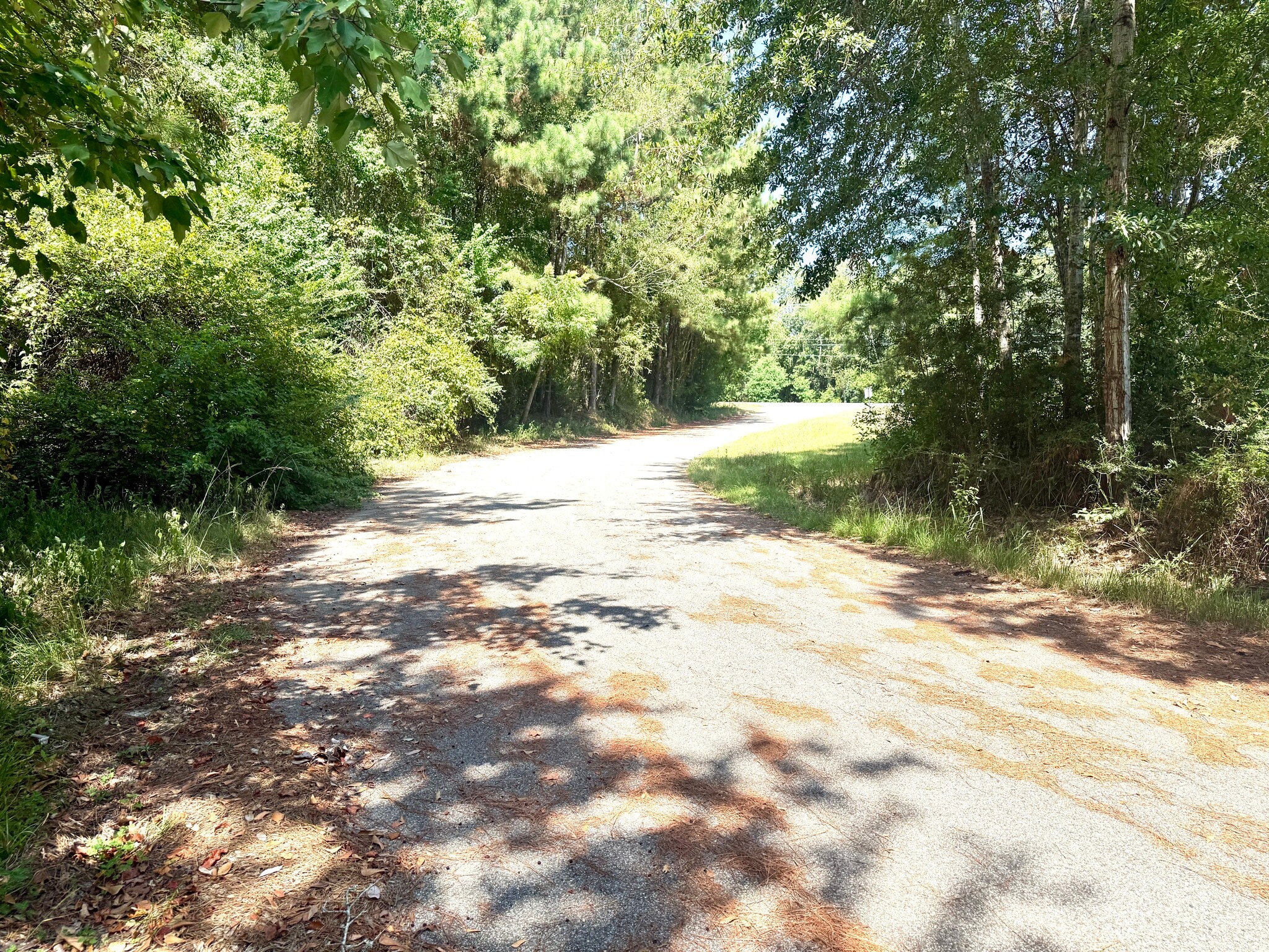 12760 Lorraine Rd, Biloxi, MS à louer Photo du bâtiment- Image 1 de 38