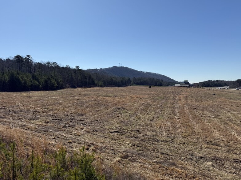 7284 Highway 515, Ellijay, GA for sale - Other - Image 2 of 5