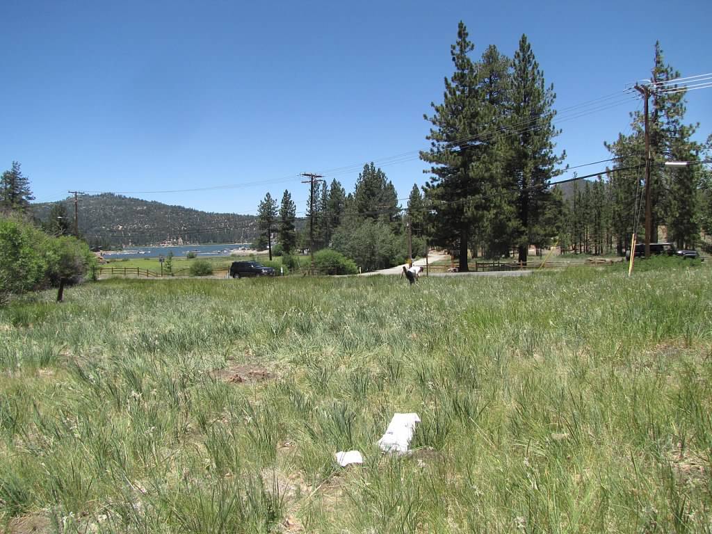 Hwy 18 Hwy, Big Bear Lake, CA à vendre Photo du bâtiment- Image 1 de 5