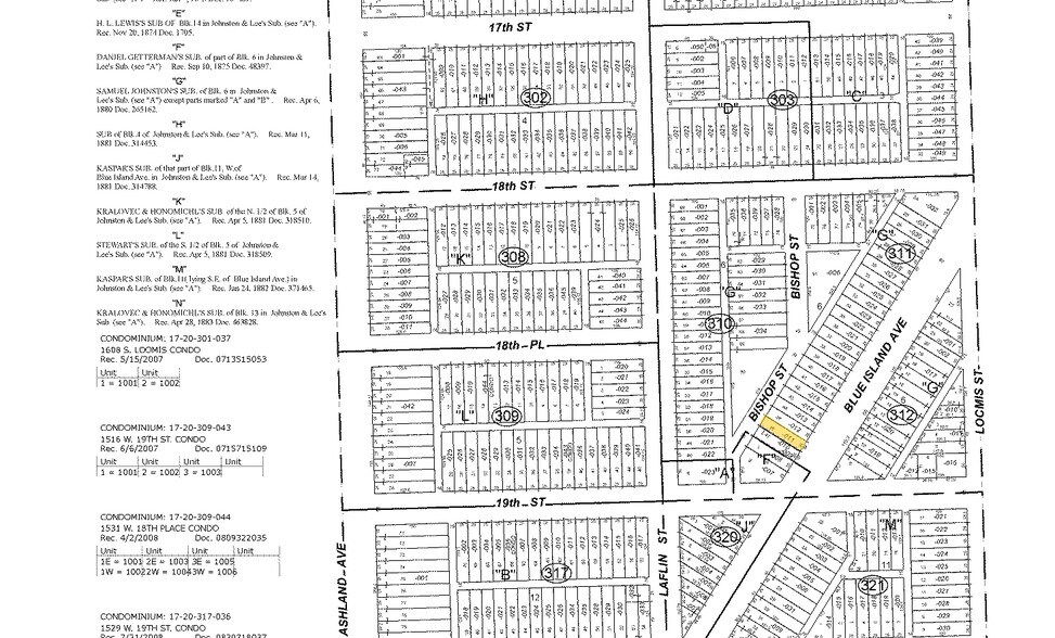 1860-1862 S Blue Island Ave, Chicago, IL à louer - Plan cadastral - Image 3 de 5