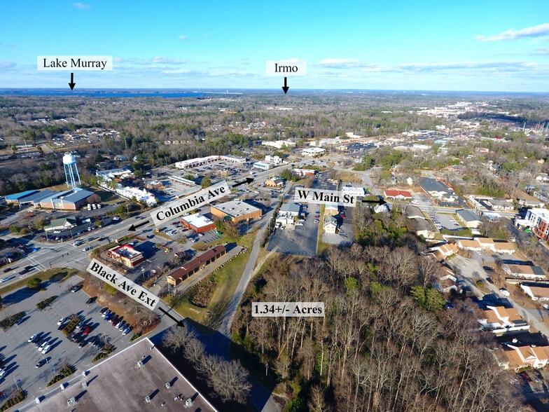 Black Ave Ext, Lexington, SC à vendre - Aérien - Image 3 de 11