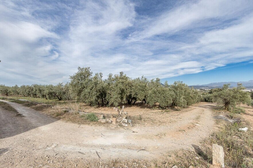 Pago de, Albolote, Granada à vendre - Aérien - Image 2 de 12