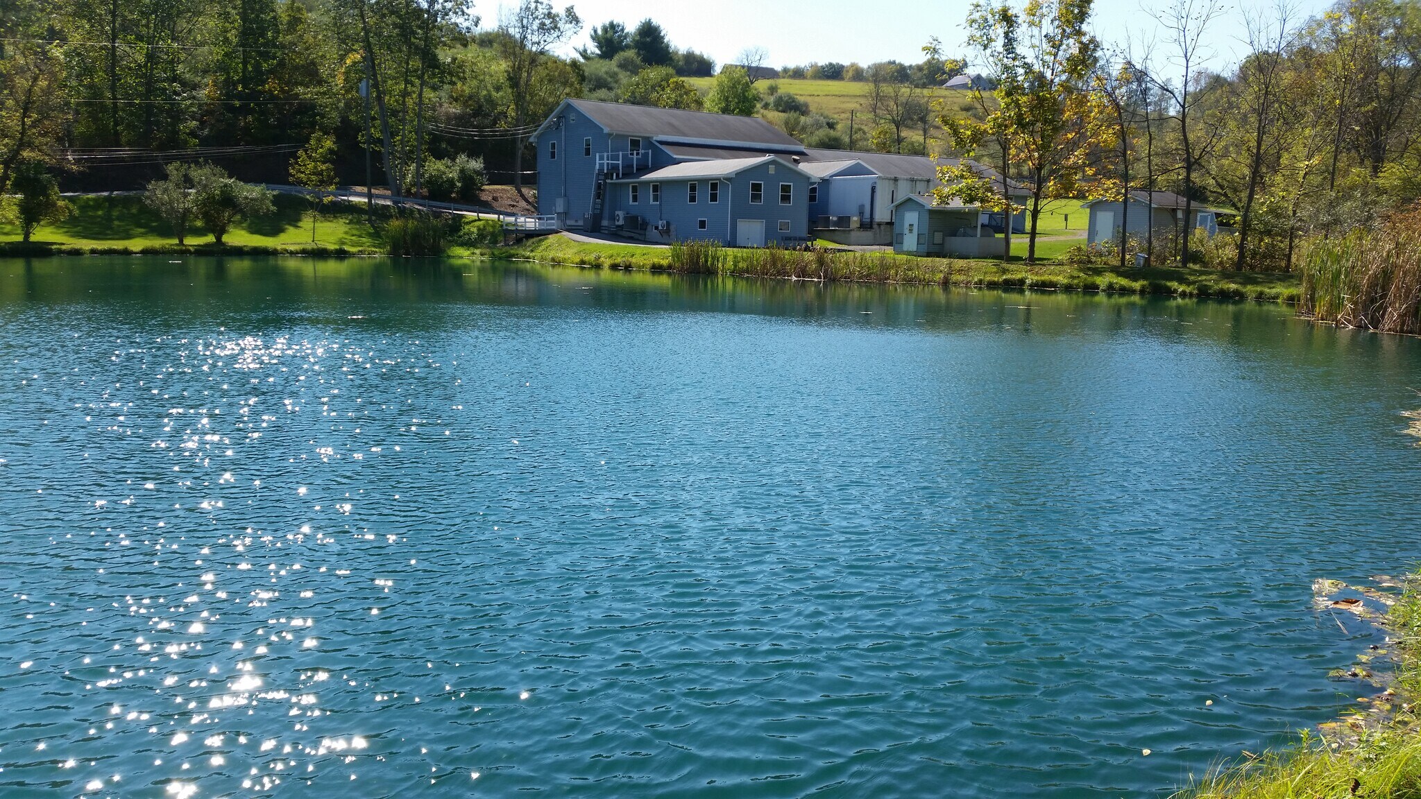 1095 Upper Georges Valley Rd, Spring Mills, PA for lease Primary Photo- Image 1 of 5