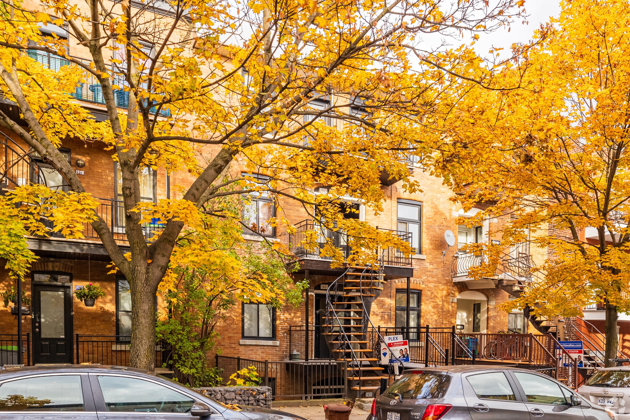1655-1669 Rue Aylwin, Montréal, QC for sale Primary Photo- Image 1 of 3