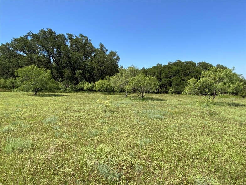 4801 Farm to Market Road 1702, Gustine, TX for sale - Other - Image 3 of 22
