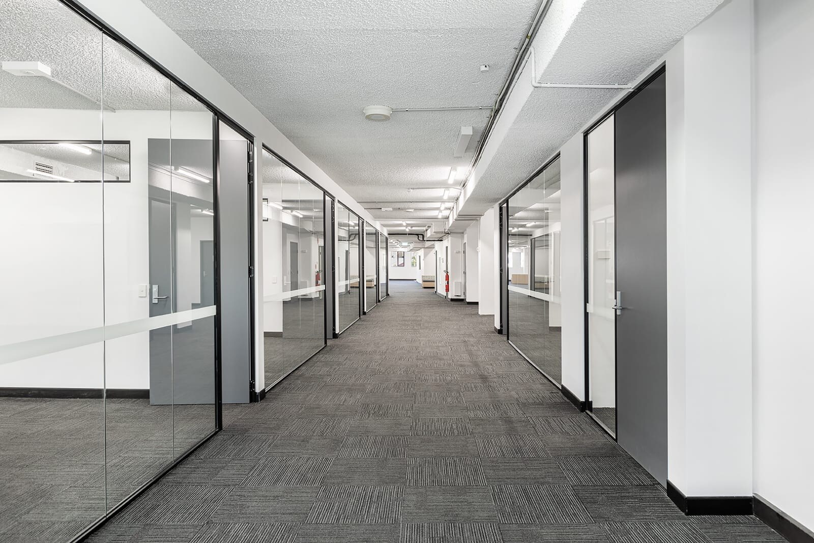 54 Parramatta Rd, Forest Lodge à louer Photo intérieure- Image 1 de 5