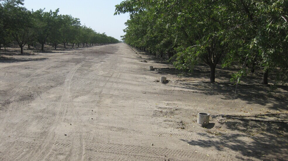 9919 E Mountain View Ave, Selma, CA à vendre - Photo principale - Image 1 de 2