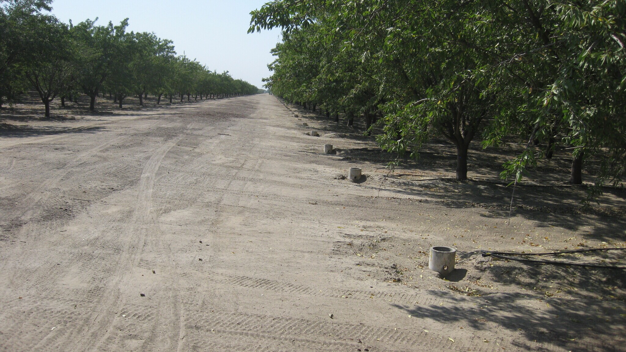9919 E Mountain View Ave, Selma, CA for sale Primary Photo- Image 1 of 3