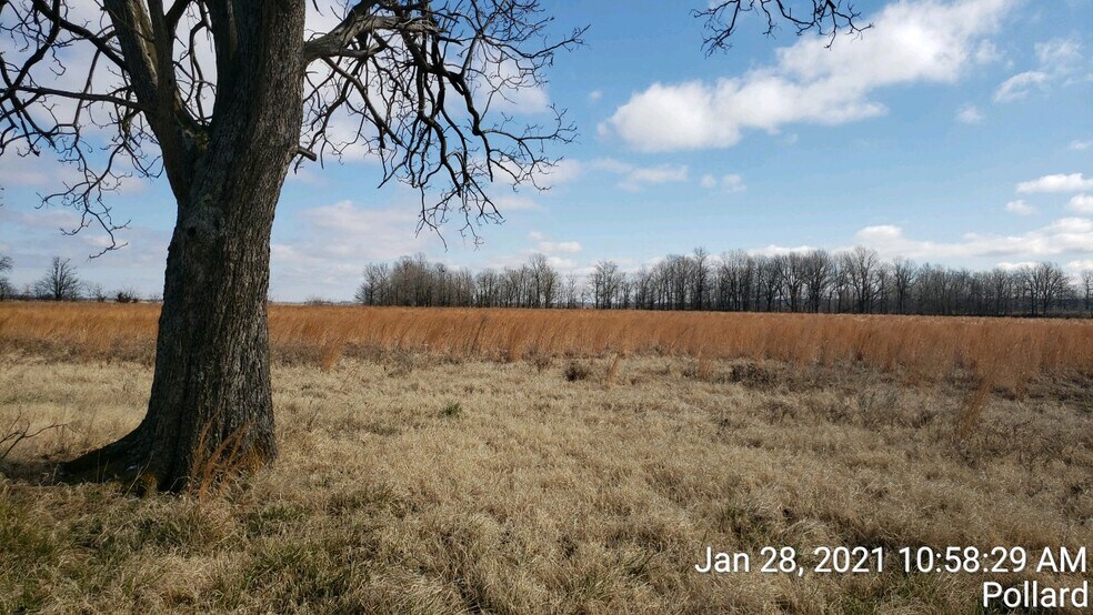 74 County Road 325, Pollard, AR à vendre - Photo du bâtiment - Image 2 de 9