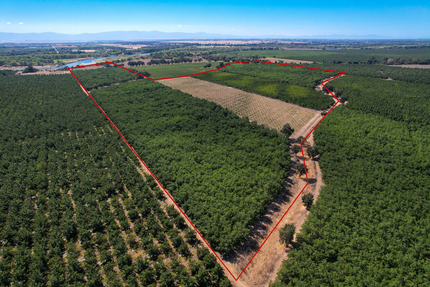 134 Acre Walnut Ranch Cana Highway, Chico, CA for sale - Aerial - Image 1 of 1