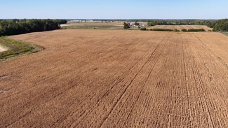 Plus de détails pour State Road 38 & N CR 950 W, Mulberry, IN - Terrain à vendre