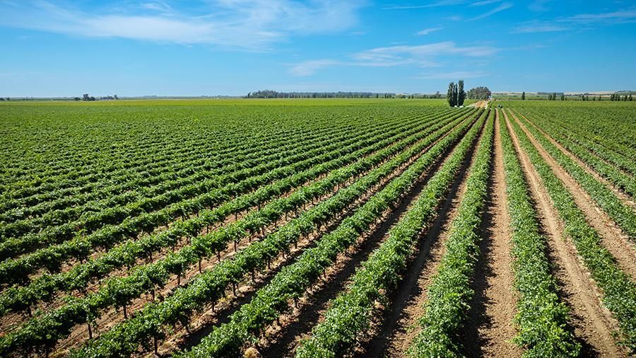 6470 County Road 99, Dunnigan, CA for sale - Building Photo - Image 2 of 7