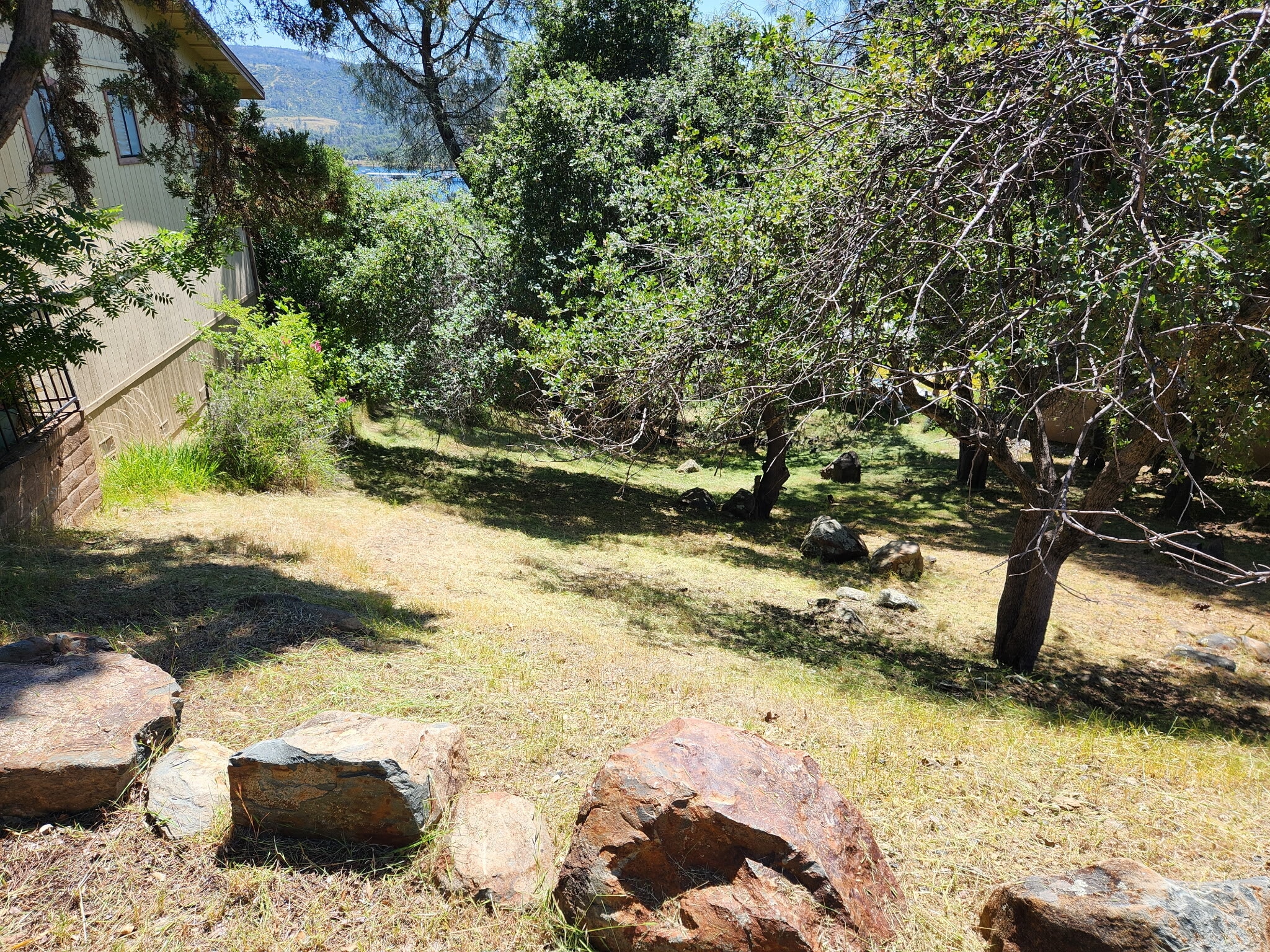 6278 Jack Hill Dr, Oroville, CA à vendre Photo principale- Image 1 de 2