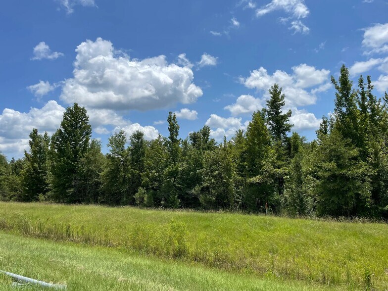 Canton Parkway, Canton, MS for sale - Building Photo - Image 2 of 3