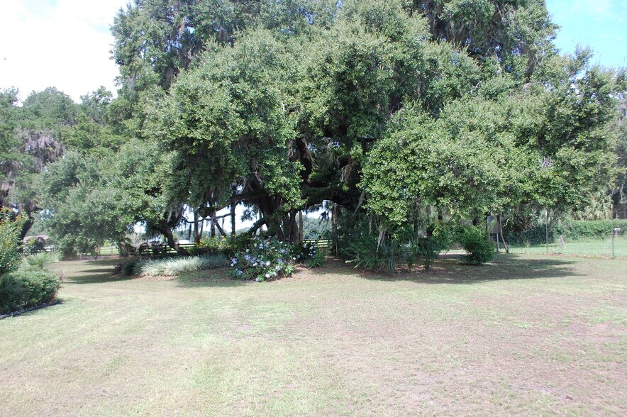 18811 SE 243rd St, Hawthorne, FL à vendre - Photo du bâtiment - Image 3 de 91