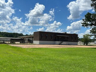 Plus de détails pour 400 Childre Rd, Pearl, MS - Industriel à louer