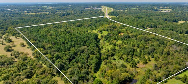 Plus de détails pour TBD County Road 166, Tyler, TX - Terrain à vendre