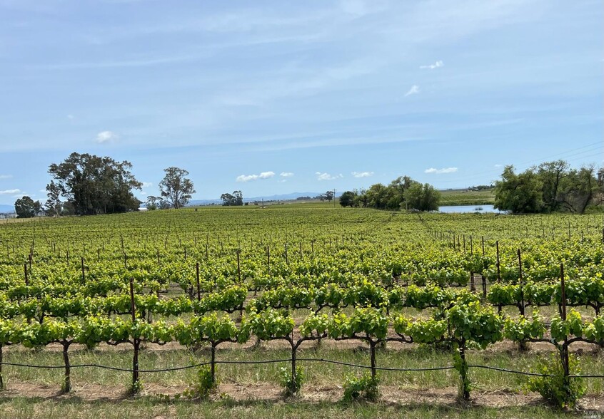 Las Amigas, Napa, CA à vendre - Autre - Image 1 de 1