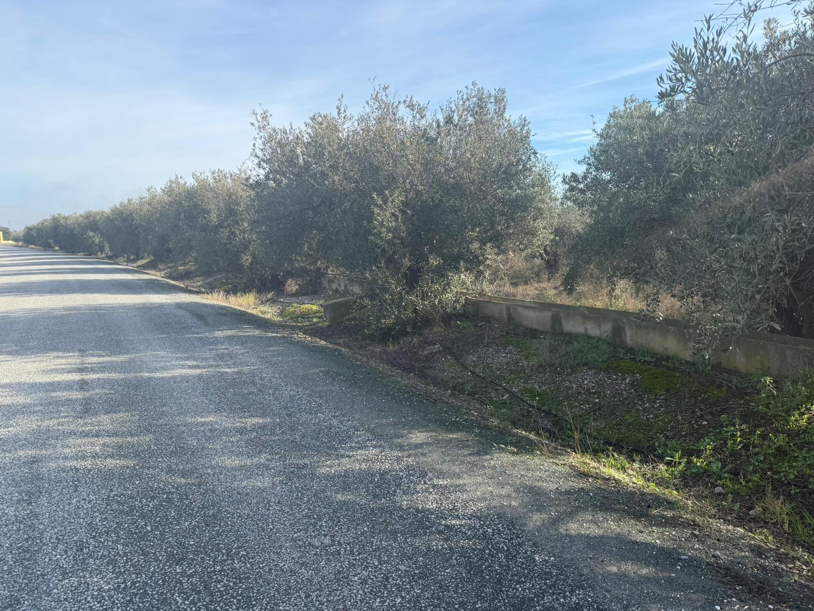 Land in Puerto Lumbreras, Murcia for sale Building Photo- Image 1 of 7