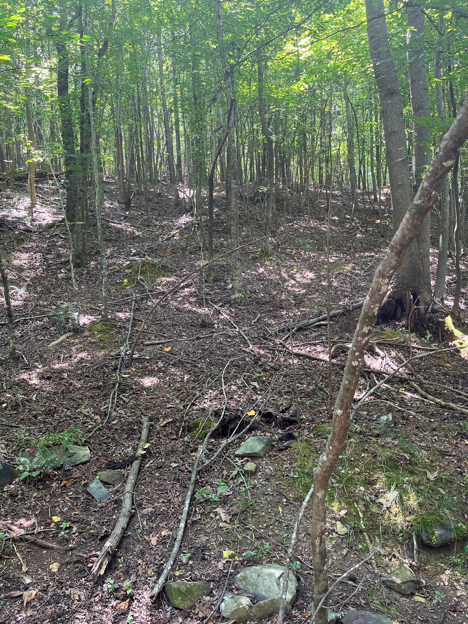 000 Old Goldmine Rd, Marshville, NC à vendre Photo principale- Image 1 de 3