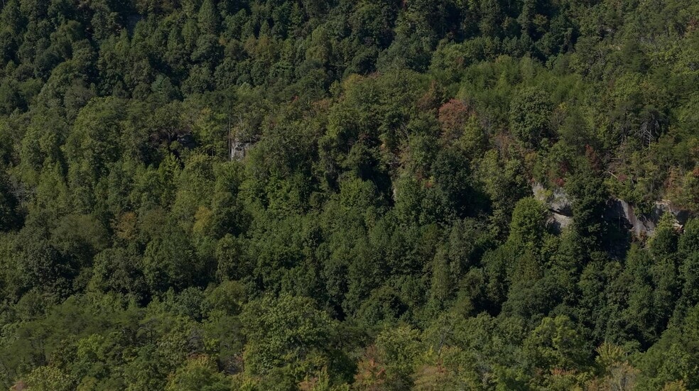 9999 State Hwy 1036, Beattyville, KY for sale - Aerial - Image 3 of 14