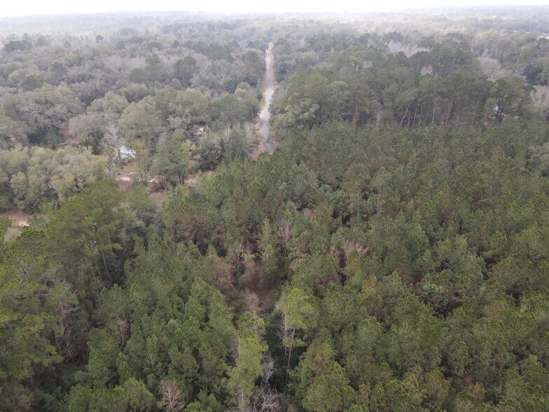 0 Baldwin St, Satsuma, AL à vendre - Photo du bâtiment - Image 2 de 13