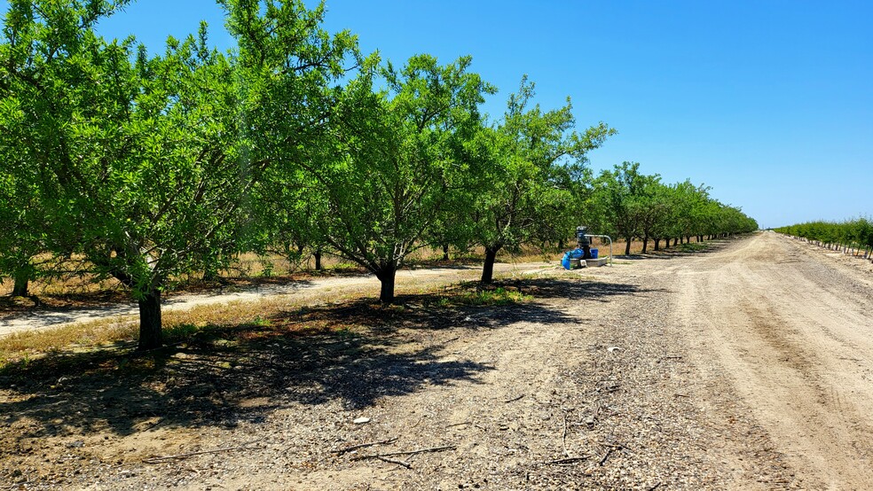 1 Kamm -1, Caruthers, CA for sale - Building Photo - Image 2 of 13