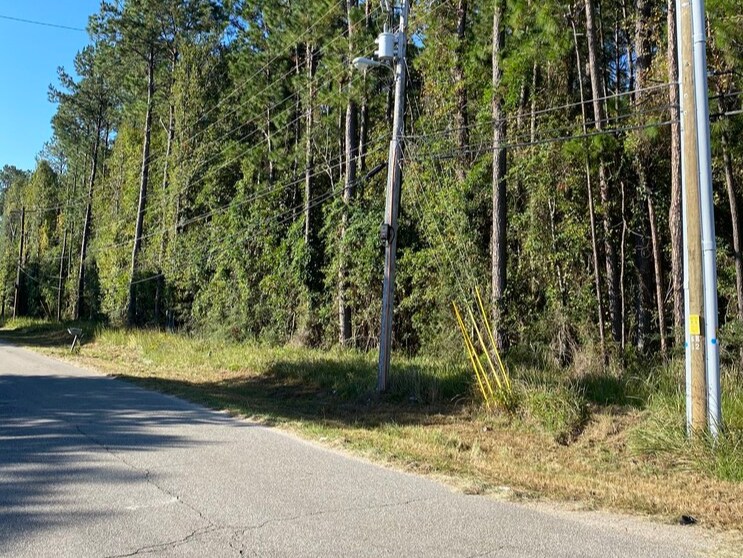 00 Elm Street, Picayune, MS à vendre - Photo principale - Image 2 de 6