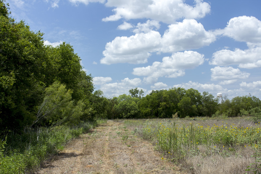 80 Acres, Pearsall, TX à vendre - Autre - Image 1 de 1