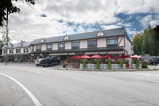 More details for 900 S Lake Blvd, Mahopac, NY - Office/Retail for Lease