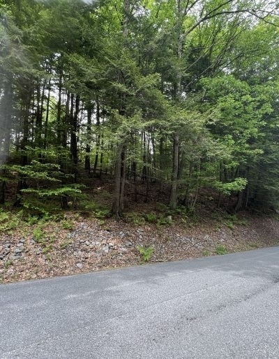 0 Cheney Hill Rd, Bradford, NH for sale - Building Photo - Image 2 of 8
