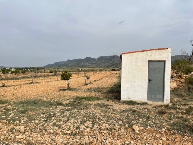 Land in Yecla, Murcia for sale - Primary Photo - Image 2 of 26