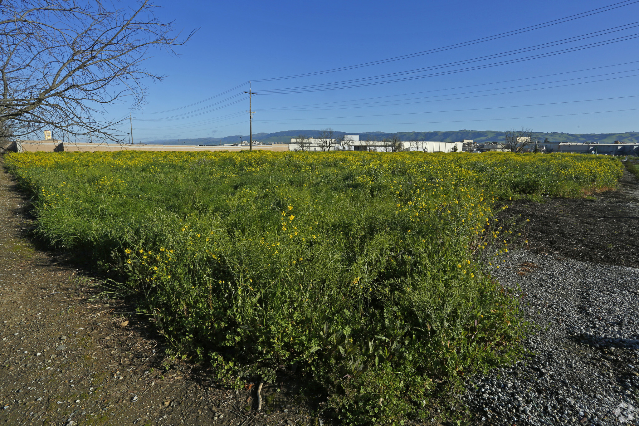 6300 Cameron Blvd, Gilroy, CA for sale Building Photo- Image 1 of 1