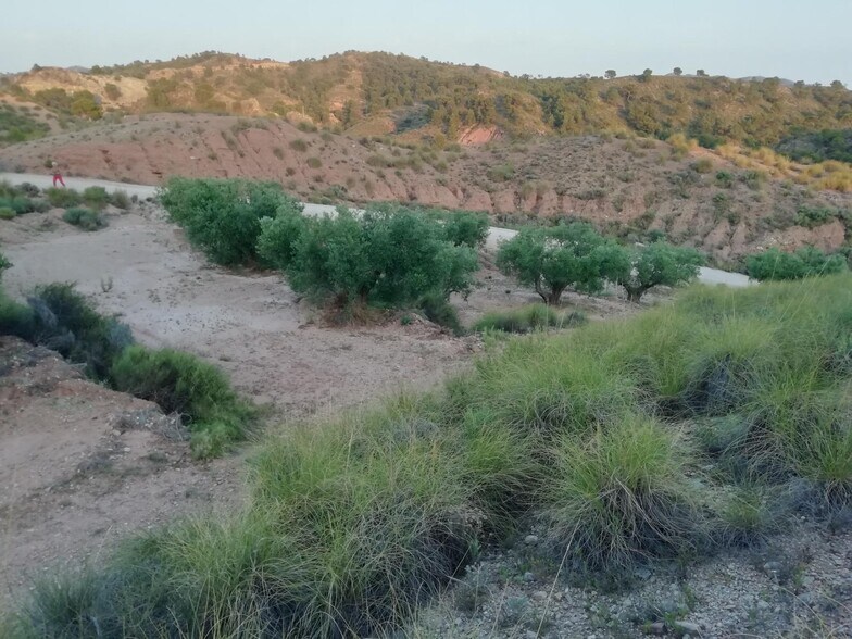 Terrain dans Abanilla, Murcia à vendre - Aérien - Image 1 de 5