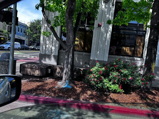 Plus de détails pour 1300 4th St, San Rafael, CA - Commerce de détail à vendre