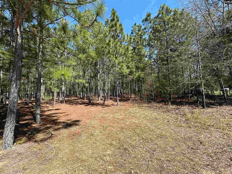 223 Mimosa Dr, Gaston, SC for sale - Other - Image 1 of 2