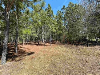 More details for 223 Mimosa Dr, Gaston, SC - Land for Sale