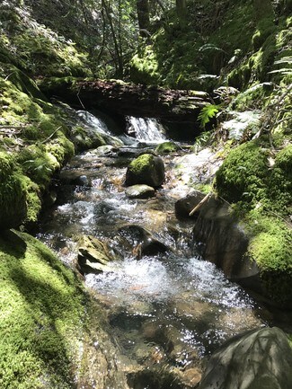 Plus de détails pour 49690 Highway 101, Laytonville, CA - Terrain à vendre