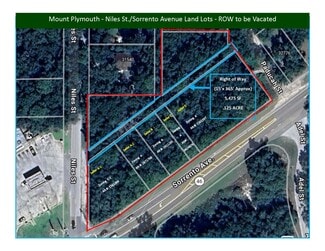 More details for SR46-CR435 (Sorrento Ave & Niles St), Mount Plymouth, FL - Land for Sale