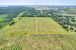 Plus de détails pour Bagley Road, Haines City, FL - Terrain à vendre