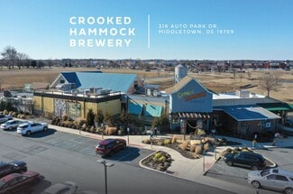 Plus de détails pour 316 Auto Park Dr, Middletown, DE - Commerce de détail à vendre