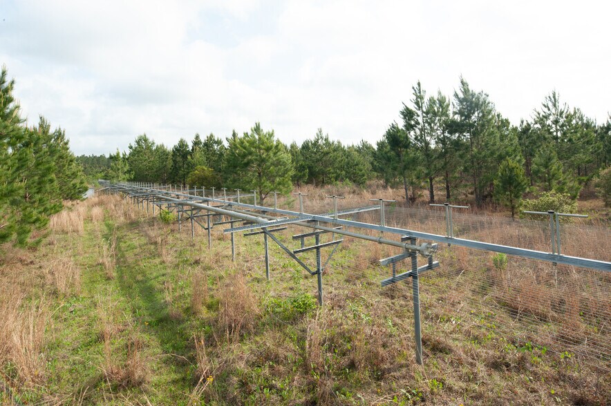 County Road 425 Near Ivy Durrence Road, Glennville, GA à vendre - Photo du bâtiment - Image 2 de 2