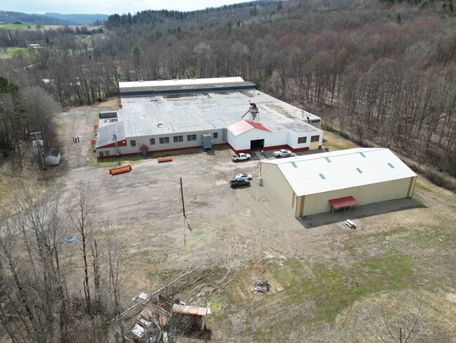 Plus de détails pour 7167 Route 353, Cattaraugus, NY - Industriel à vendre