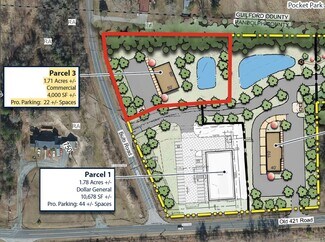 More details for TBD Bulb Road, Liberty, NC - Land for Sale