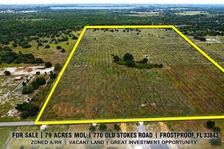 More details for 770 Old Stokes rd, Frostproof, FL - Land for Sale