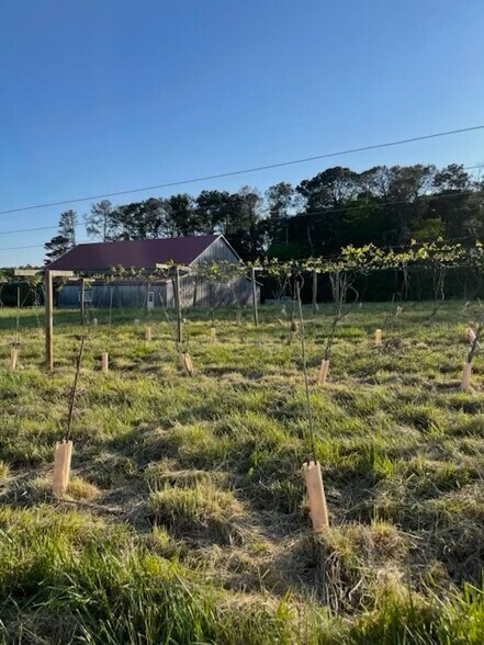 77 Little River Rd, Carrollton, GA à vendre - Photo du bâtiment - Image 2 de 12